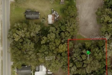 Land in Lake Helen, Florida № 1771276 - photo 7