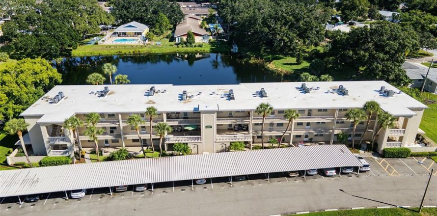 Condo à Dunedin, Floride, 2 chambres № 2387645