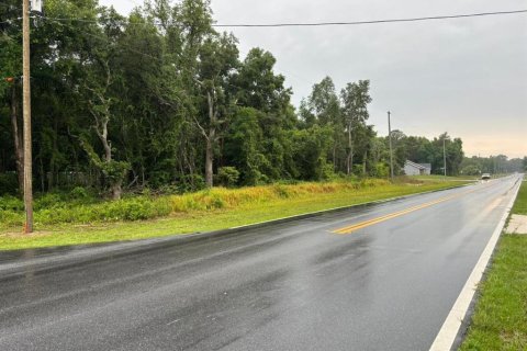 Terreno en venta en Ocklawaha, Florida № 2164682 - foto 4