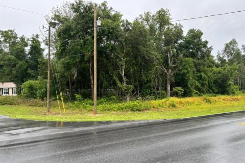 Terreno en venta en Ocklawaha, Florida № 2164682 - foto 3