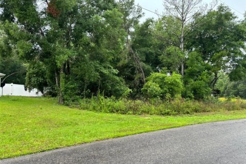 Terreno en Ocklawaha, Florida № 2164682