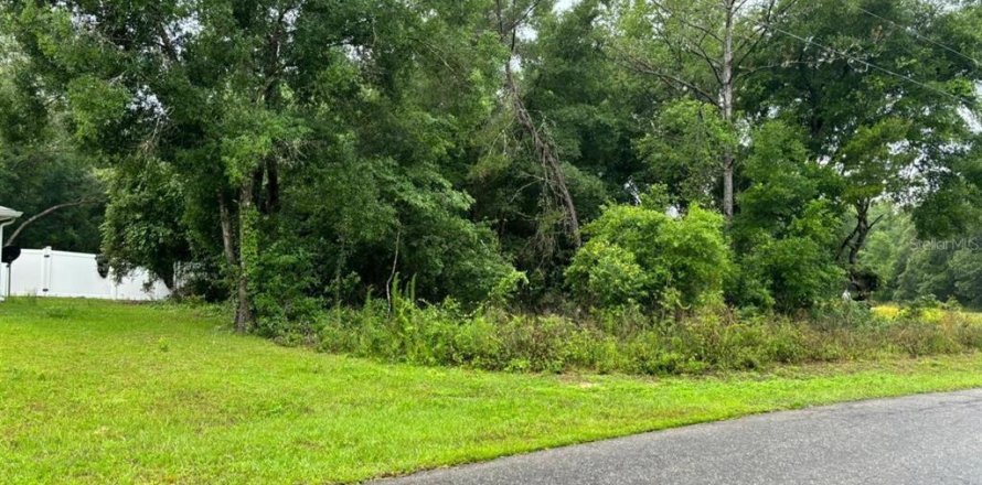 Terreno en Ocklawaha, Florida № 2164682
