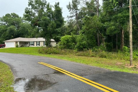 Terreno en venta en Ocklawaha, Florida № 2164682 - foto 2