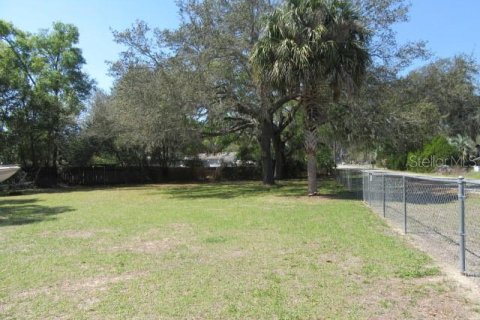Land in Summerfield, Florida № 2159700 - photo 3