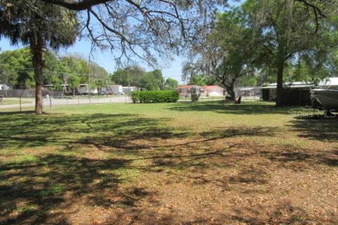 Land in Summerfield, Florida № 2159700 - photo 4