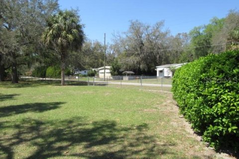 Land in Summerfield, Florida № 2159700 - photo 2