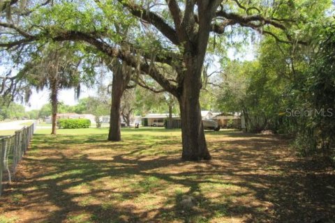 Land in Summerfield, Florida № 2159700 - photo 5