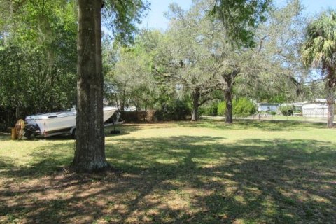 Land in Summerfield, Florida № 2159700 - photo 8