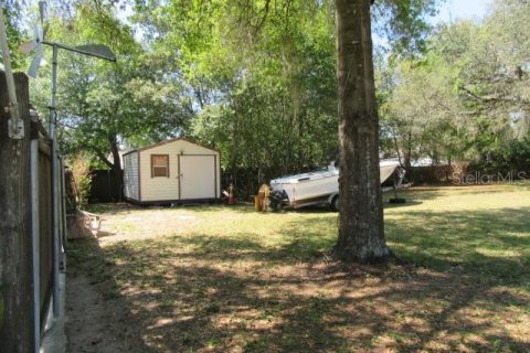 Land in Summerfield, Florida № 2159700 - photo 6