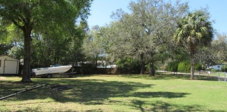 Land in Summerfield, Florida № 2159700