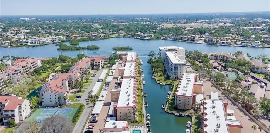 Condo à Sarasota, Floride, 1 chambre  № 1643072