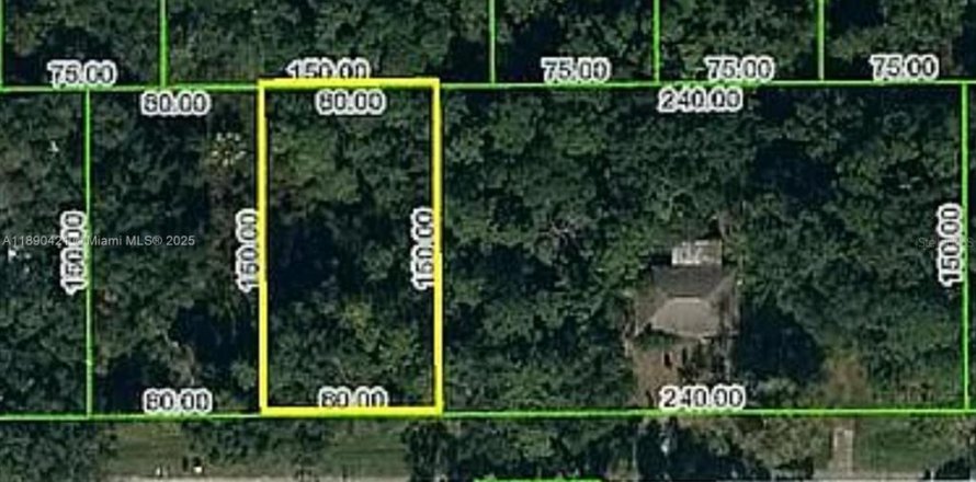 Land in Lake Placid, Florida № 2161745