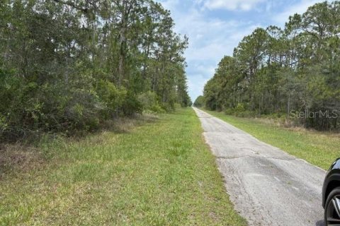 Land in Indian lake estates, Florida № 2161368 - photo 2