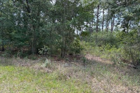 Land in Indian lake estates, Florida № 2161368
