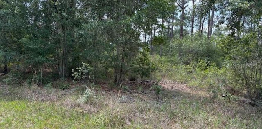 Land in Indian lake estates, Florida № 2161368