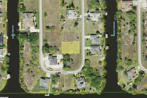Land in Port Charlotte, Florida № 2163696 - photo 2