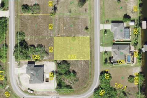 Land in Port Charlotte, Florida № 2163696 - photo 4