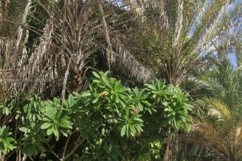 Коммерческая недвижимость в Майами, Флорида № 2048058