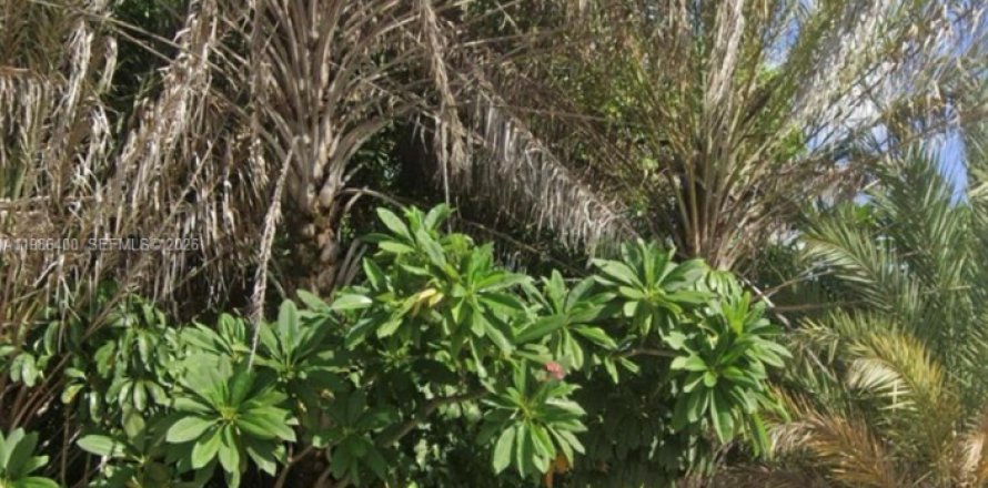 Коммерческая недвижимость в Майами, Флорида № 2048058