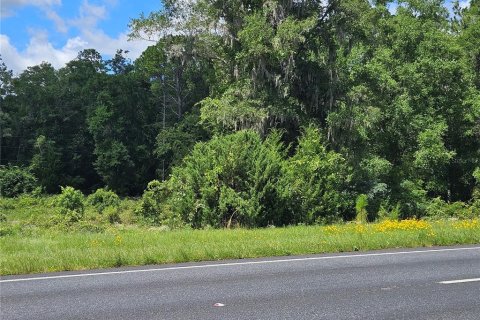 Land in Williston, Florida № 1828033 - photo 5