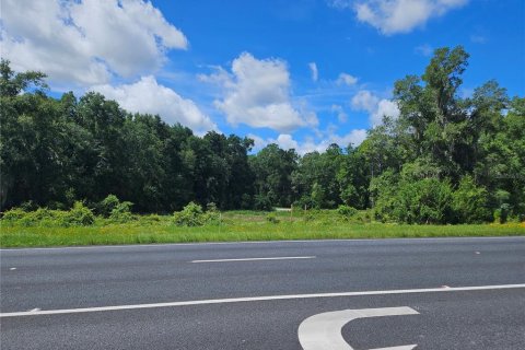 Land in Williston, Florida № 1828033 - photo 7