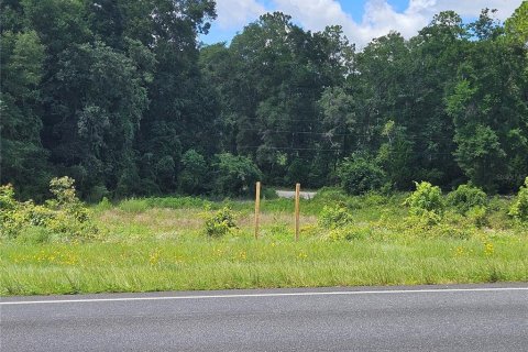 Land in Williston, Florida № 1828033 - photo 6