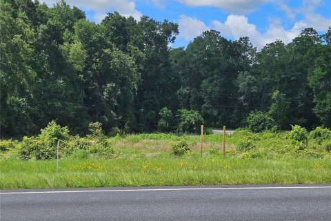 Land in Williston, Florida № 1828033 - photo 3