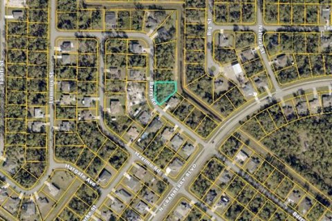 Land in North Port, Florida № 2159617 - photo 4