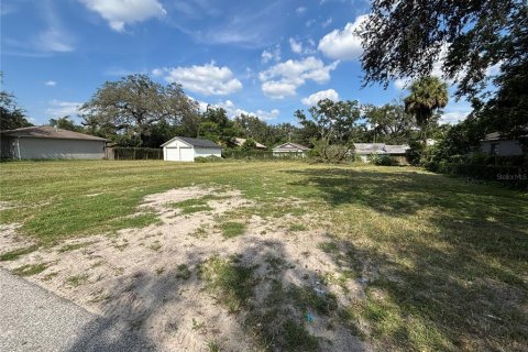 Terreno en venta en Tampa, Florida № 1908162 - foto 3