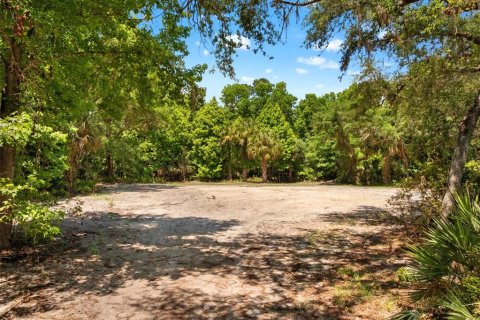 Land in Oviedo, Florida № 2116473 - photo 7