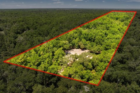 Land in Oviedo, Florida № 2116473 - photo 2