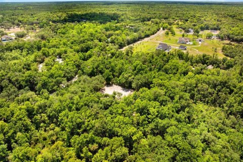 Land in Oviedo, Florida № 2116473 - photo 10