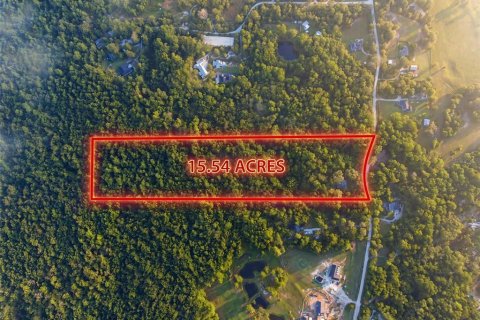 Land in Oviedo, Florida № 2116473