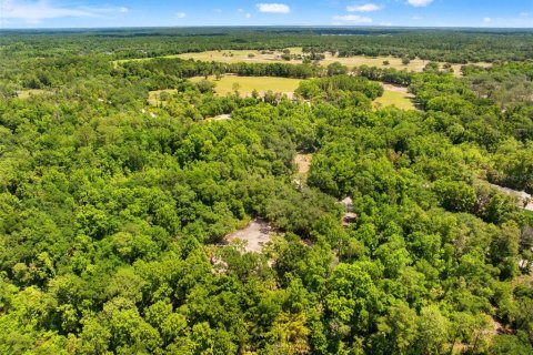 Land in Oviedo, Florida № 2116473 - photo 9