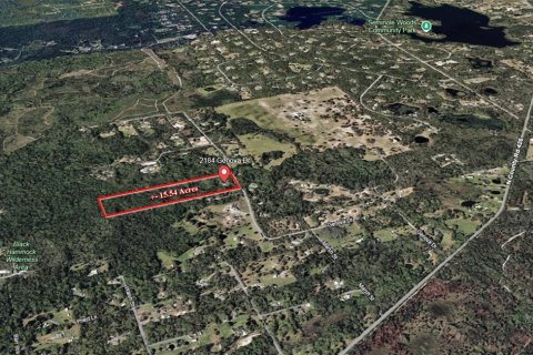Land in Oviedo, Florida № 2116473 - photo 5