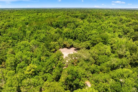 Land in Oviedo, Florida № 2116473 - photo 8