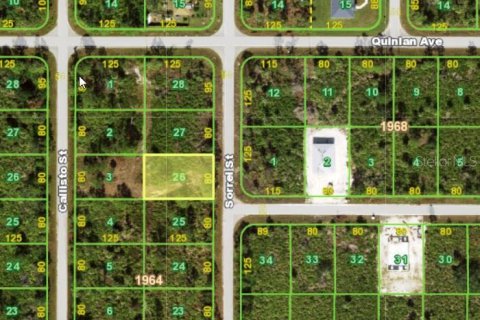Land in Port Charlotte, Florida № 2165340