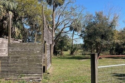 Land in Osteen, Florida № 1657038 - photo 23