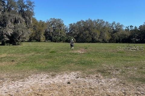 Land in Osteen, Florida № 1657038 - photo 10