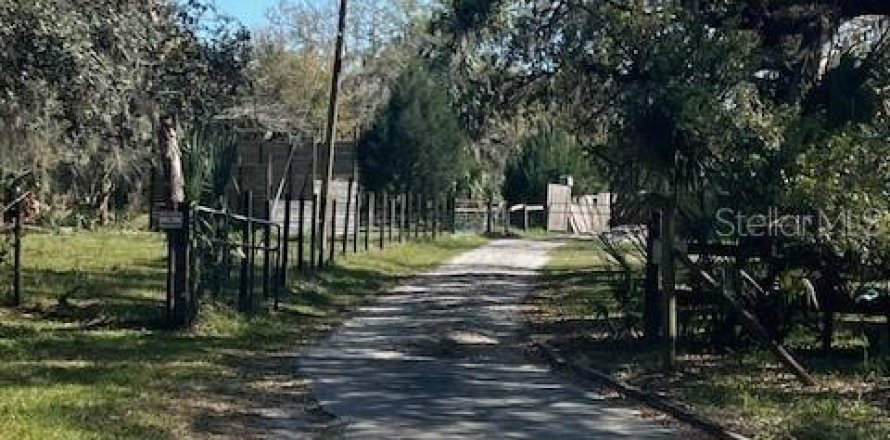 Terreno en Osteen, Florida № 1657038