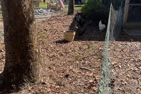 Land in Osteen, Florida № 1657038 - photo 2