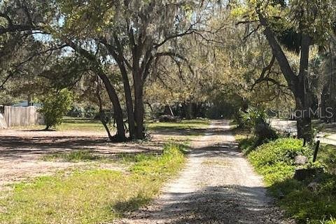Land in Osteen, Florida № 1657038 - photo 13