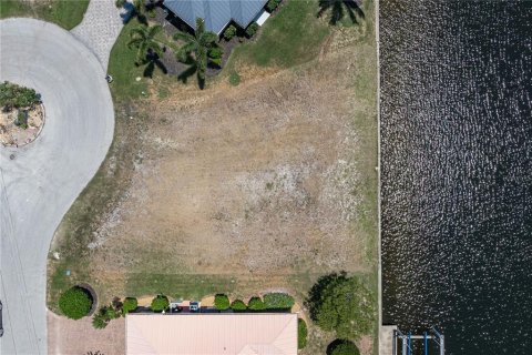 Land in Punta Gorda, Florida № 2137850 - photo 5
