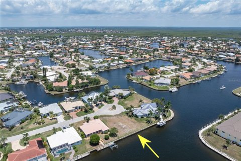 Land in Punta Gorda, Florida № 2137850 - photo 9