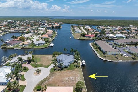 Land in Punta Gorda, Florida № 2137850 - photo 2