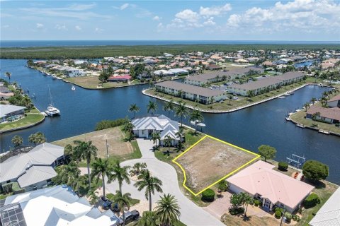 Land in Punta Gorda, Florida № 2137850 - photo 7