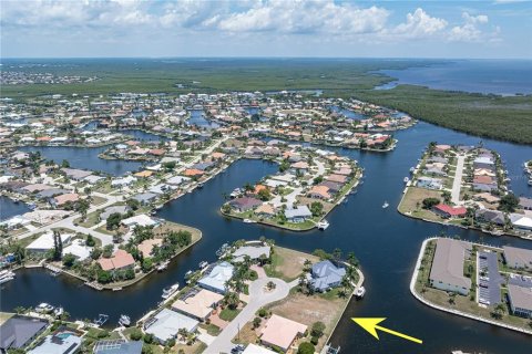 Land in Punta Gorda, Florida № 2137850 - photo 3