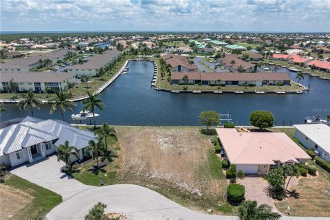 Terrain à Punta Gorda, Floride № 2137850