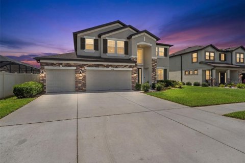 Casa en Wesley Chapel, Florida 5 dormitorios, 349.41 m2 № 2148280