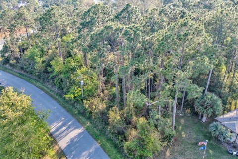 Terreno en venta en Palm Coast, Florida № 1799761 - foto 1